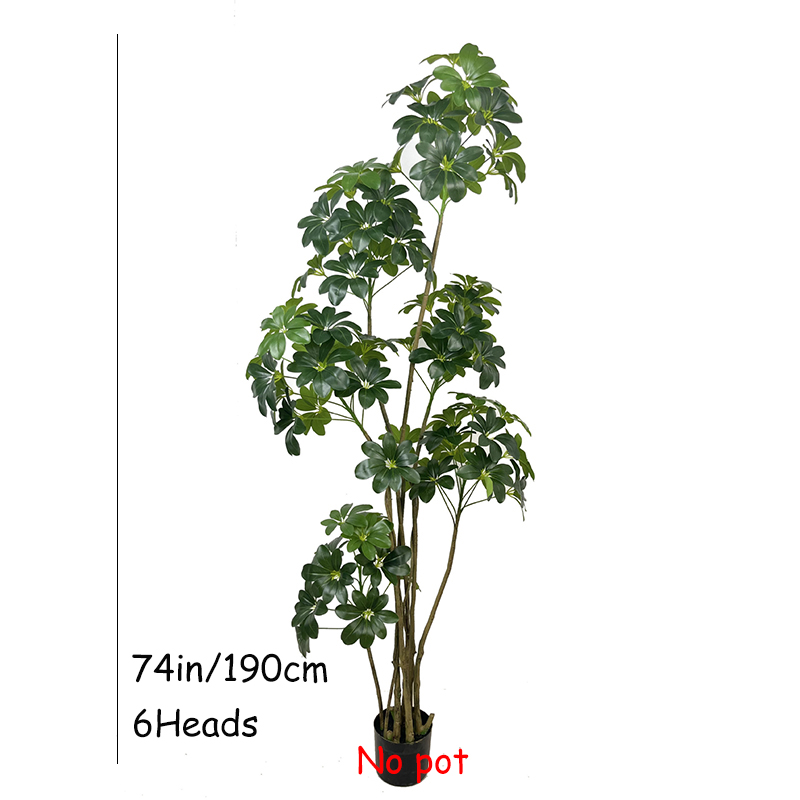 74in tropischen Baum große kün – Dracaena Marginata Bewertung und Preis