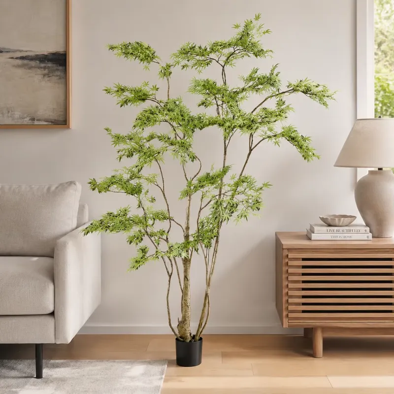 Lebensechter Künstlicher Japan – Dracaena Marginata Bewertung und Preis