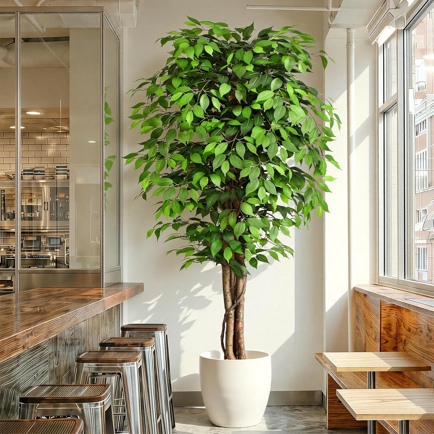 Lebensechter Künstlicher Ficus – Monstera Adansonii Bewertung und Preis