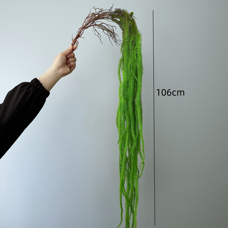 Künstlicher Weidenbart, vielse – Monstera Adansonii Bewertung und Preis