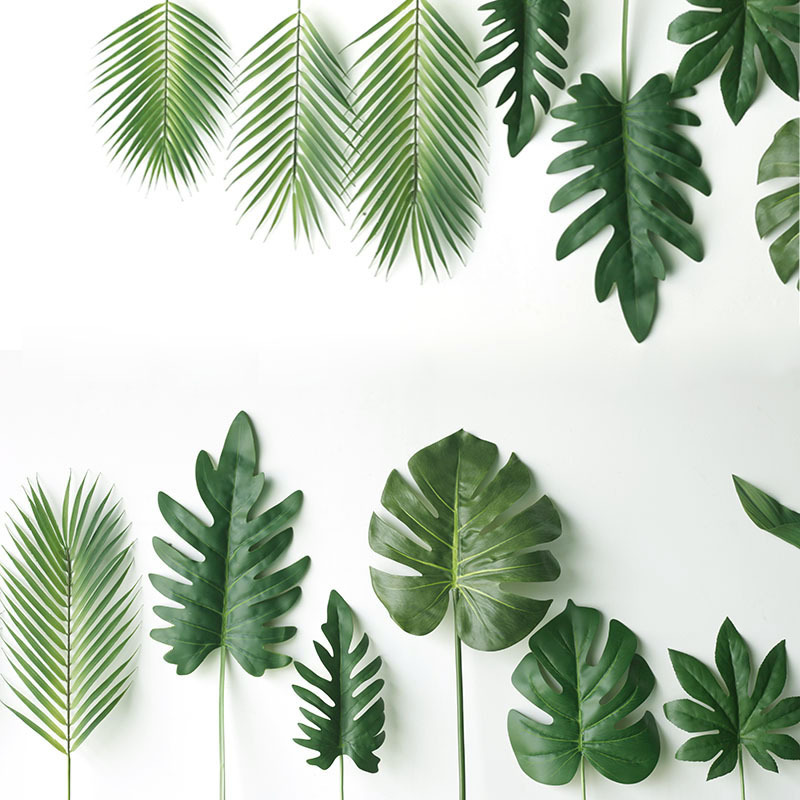 59CM Schildkröte Blatt Künstli – Monstera Adansonii Bewertung und Preis