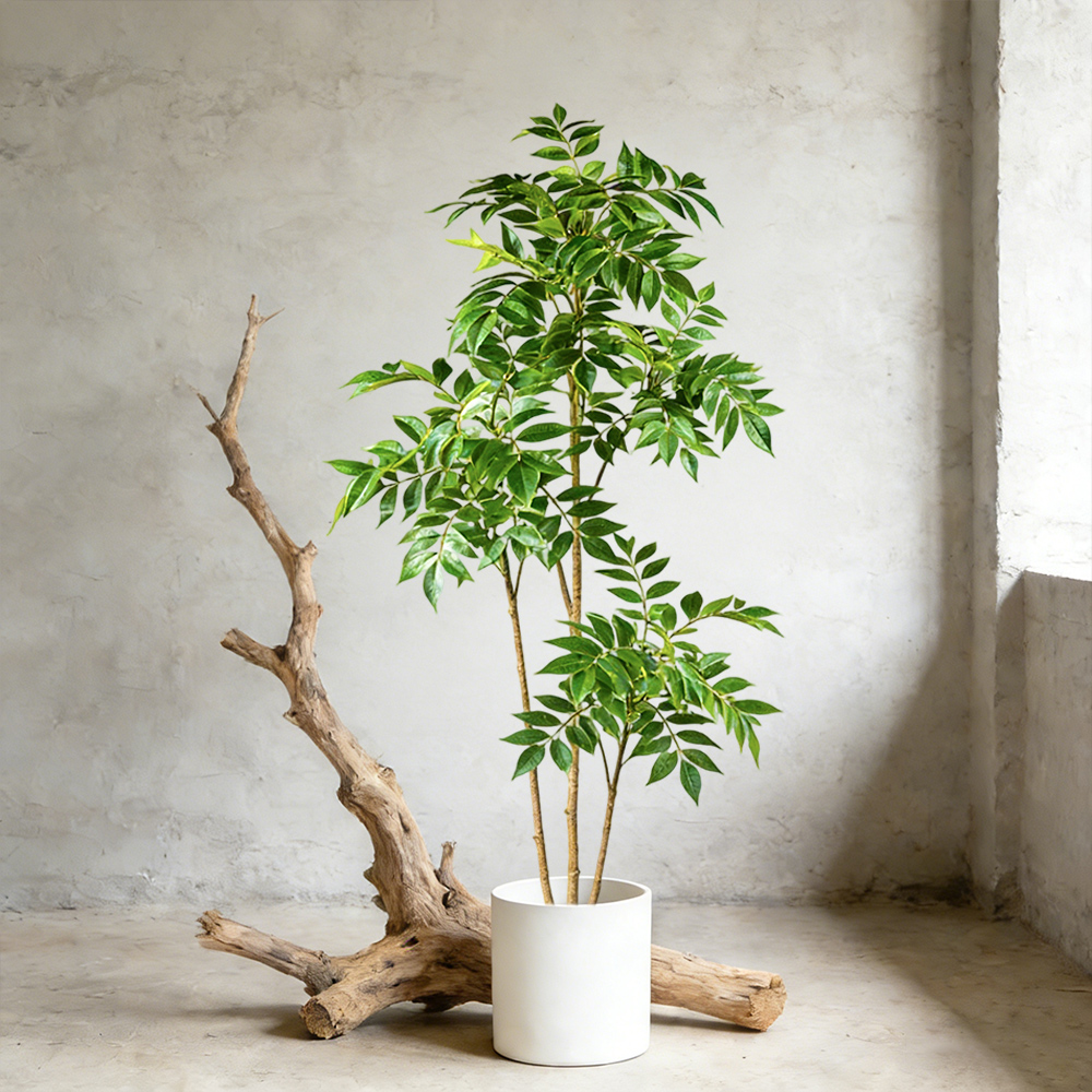76-140 cm künstlicher Gummibau – Dracaena Marginata Bewertung und Preis