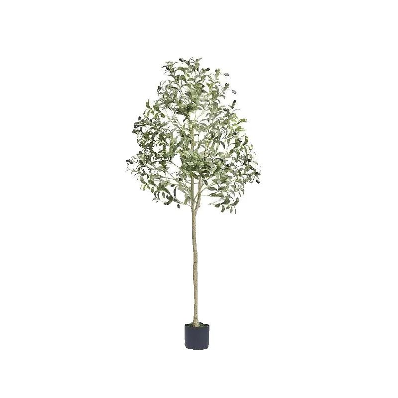 SucceBuy Künstlicher Olivenbau – Dracaena Marginata Bewertung und Preis