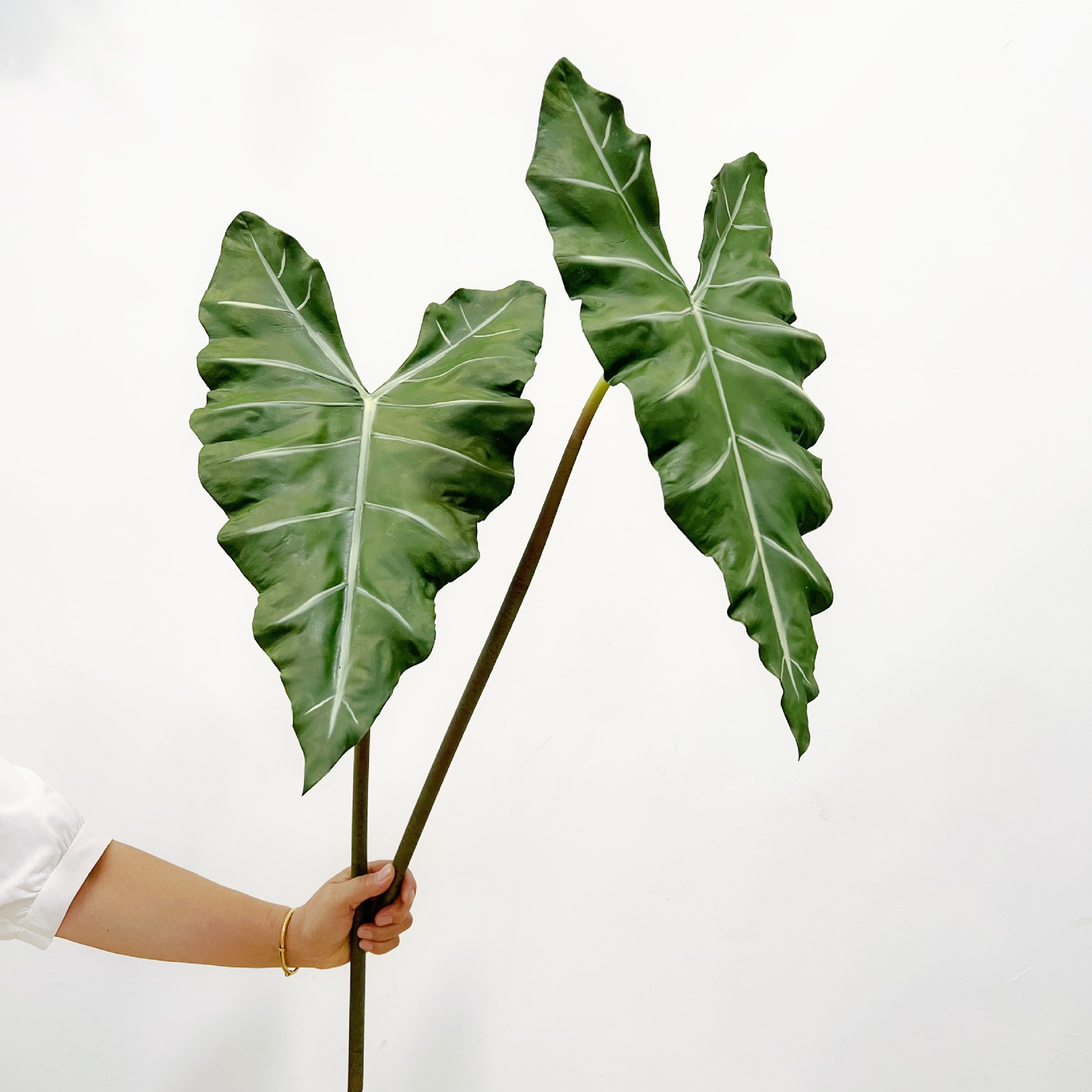 Simulierte lange PU-Handgefühl – Monstera Adansonii Bewertung und Preis
